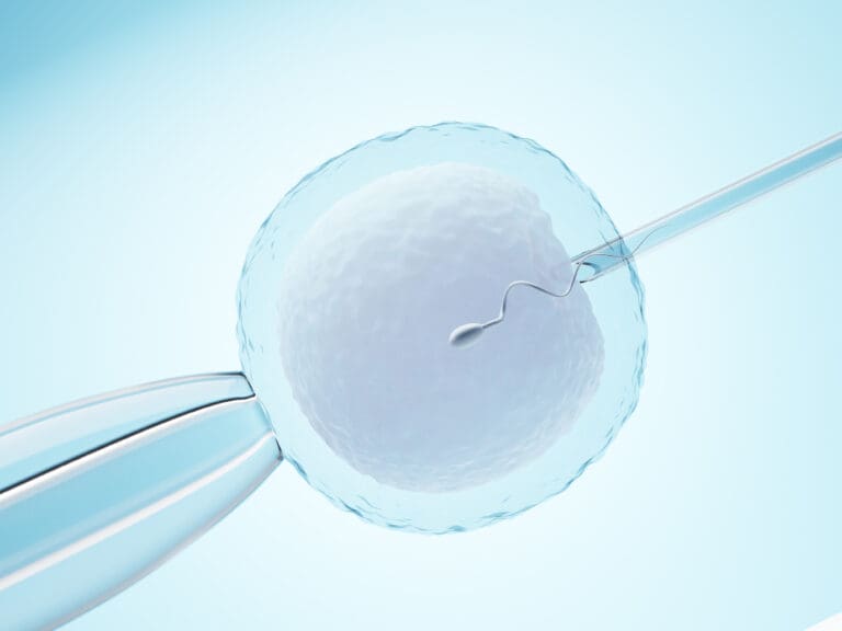 Ovum with needle for artificial insemination or in vitro fertilization