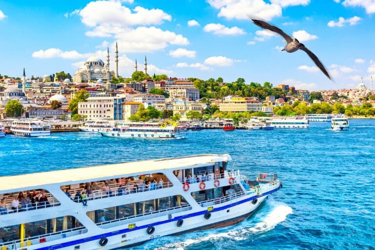 Touristic sightseeing ships in Golden Horn bay of Istanbul and view on Suleymaniye mosque with Sultanahmet district. Seagull on the foreground. Istanbul, Turkey during sunny summer day